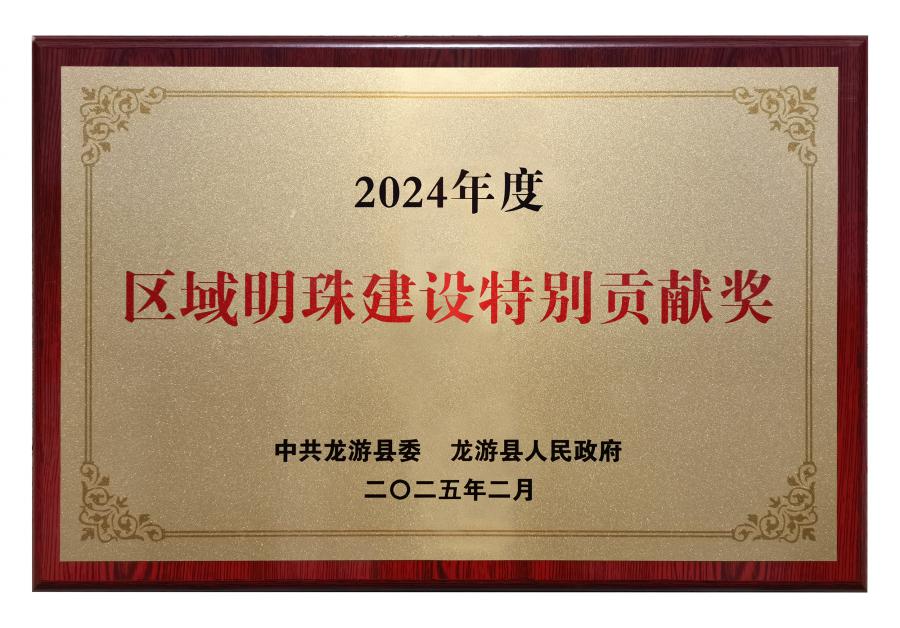 17389759585555347866.jpg 2024區域明珠建設特別貢獻獎.jpg