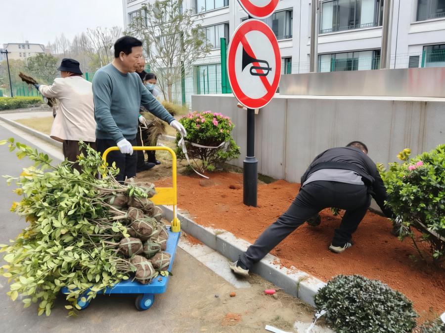 1775026888980779p2E3.jpg 12345.jpg